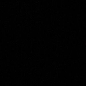 Meet your Posher, Donovan